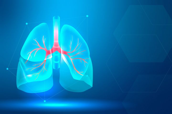 Pulmones